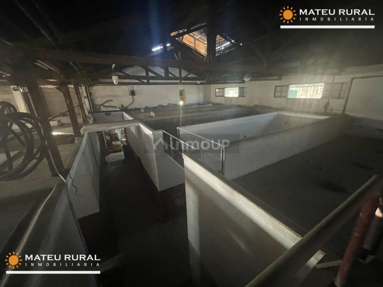 Bodega en Venta en Maipu, Mendoza