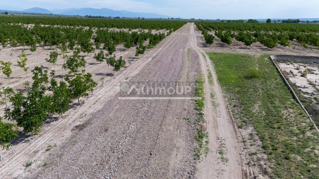 Finca en Venta en Tupungato, Mendoza