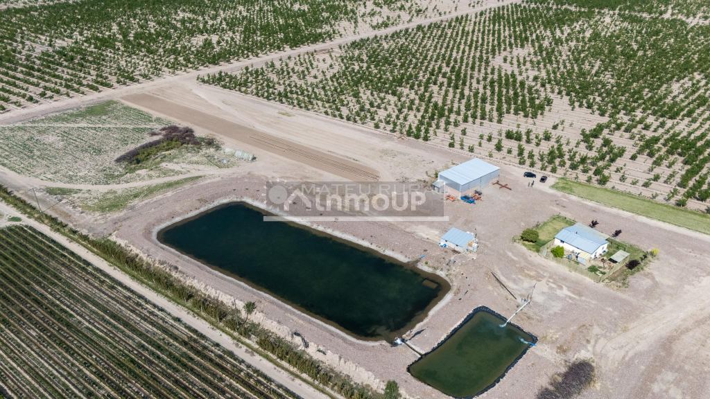 Finca en Venta en Tupungato, Mendoza