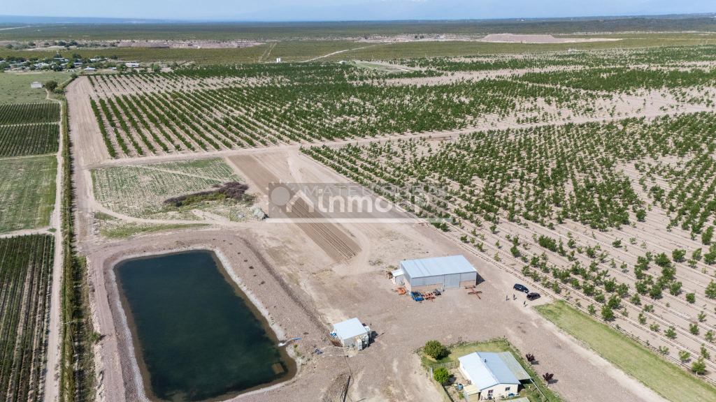 Finca en Venta en Tupungato, Mendoza