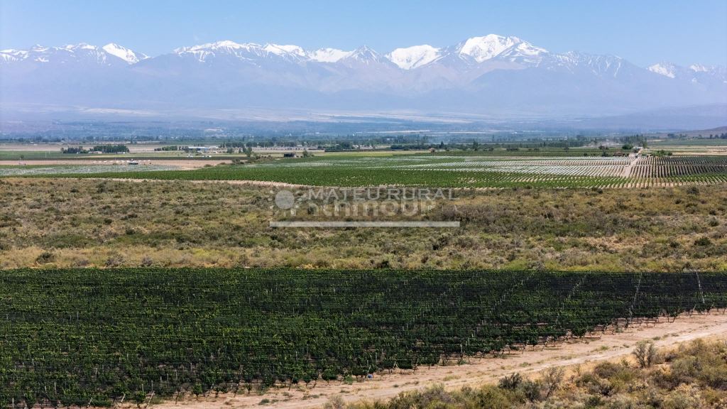 Finca en Venta en Tupungato, Mendoza