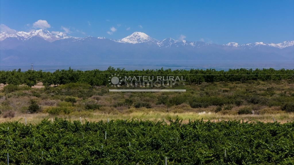 Finca en Venta en Tupungato, Mendoza