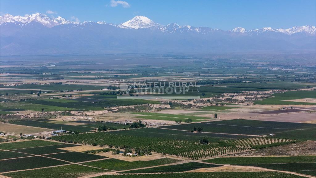 Finca en Venta en Tupungato, Mendoza
