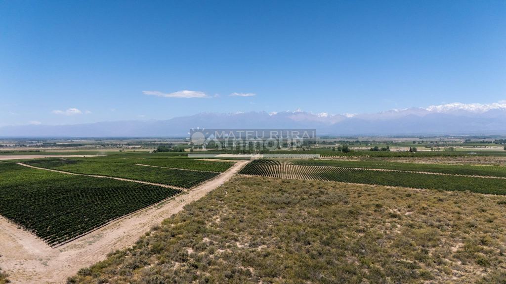 Finca en Venta en Tupungato, Mendoza