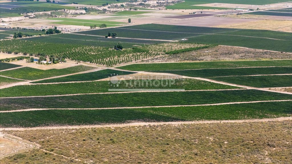 Finca en Venta en Tupungato, Mendoza