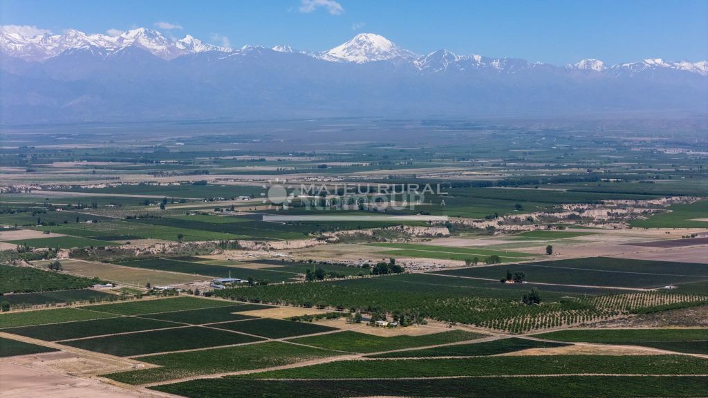 Finca en Venta en Tupungato, Mendoza