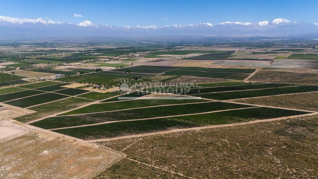 Finca en Venta en Tupungato, Mendoza