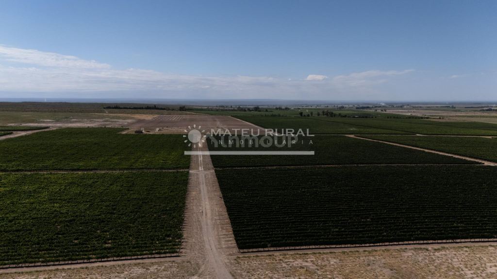 Finca en Venta en Tupungato, Mendoza