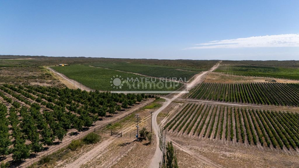 Finca en Venta en Tupungato, Mendoza
