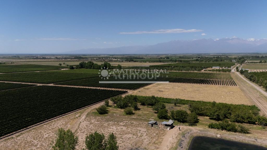 Finca en Venta en Tupungato, Mendoza