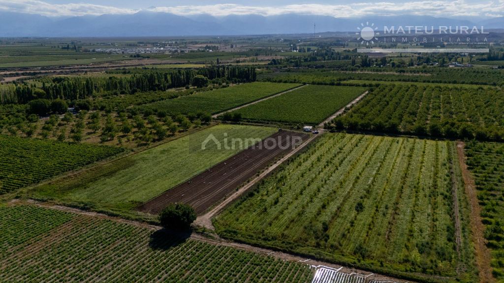 Finca en Venta en Tupungato, Mendoza