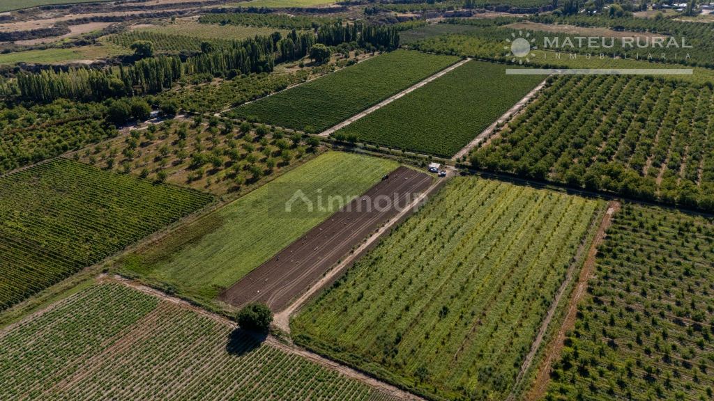 Finca en Venta en Tupungato, Mendoza