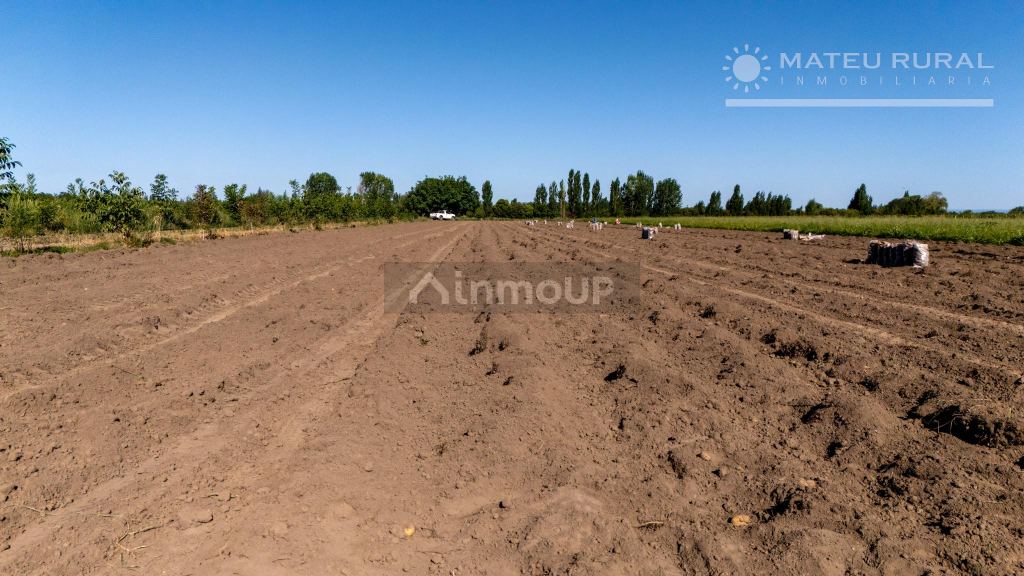Finca en Venta en Tupungato, Mendoza