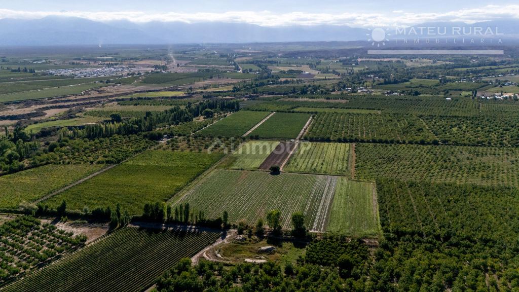 Finca en Venta en Tupungato, Mendoza