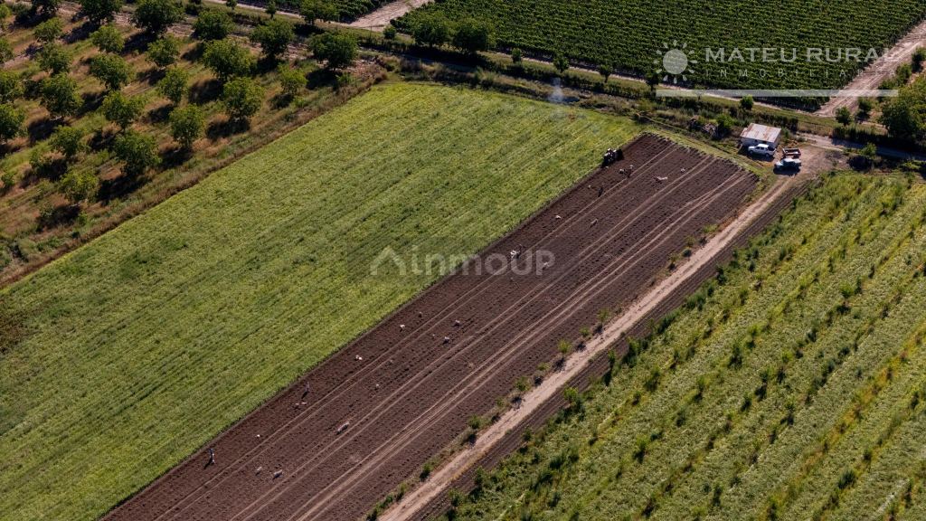 Finca en Venta en Tupungato, Mendoza