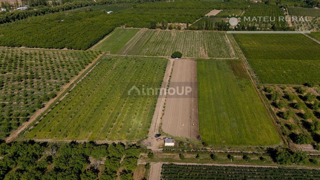 Finca en Venta en Tupungato, Mendoza
