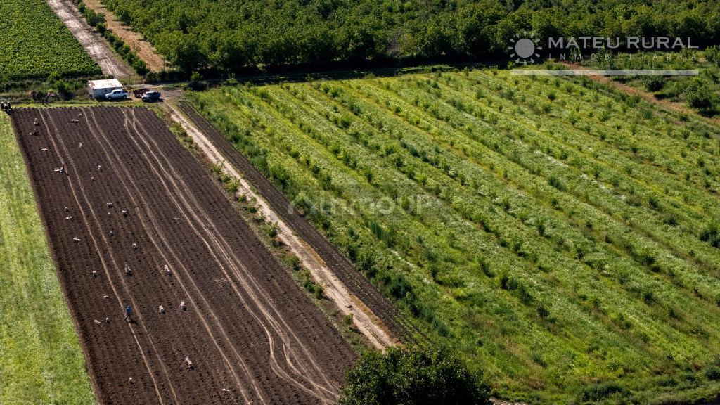 Finca en Venta en Tupungato, Mendoza