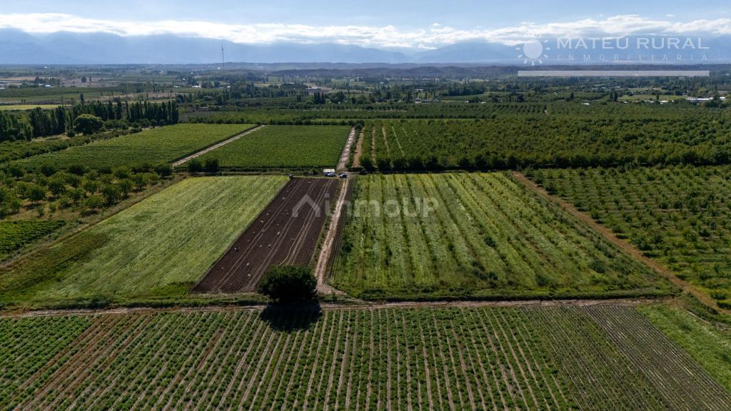 Finca en Venta en Tupungato, Mendoza