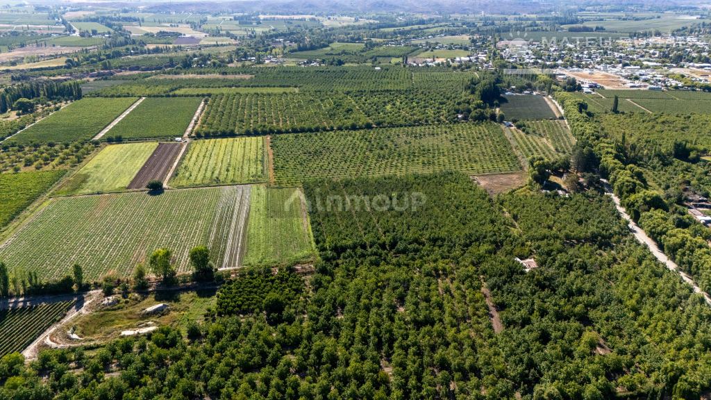 Finca en Venta en Tupungato, Mendoza