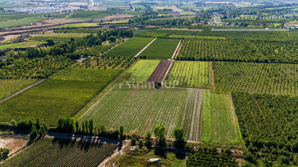 Finca en Venta en Tupungato, Mendoza
