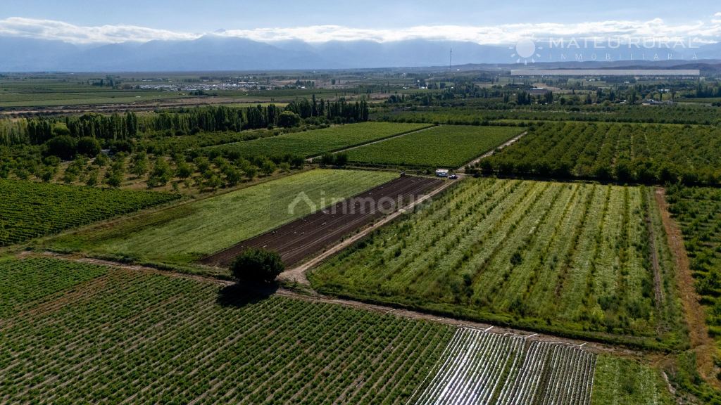 Finca en Venta en Tupungato, Mendoza