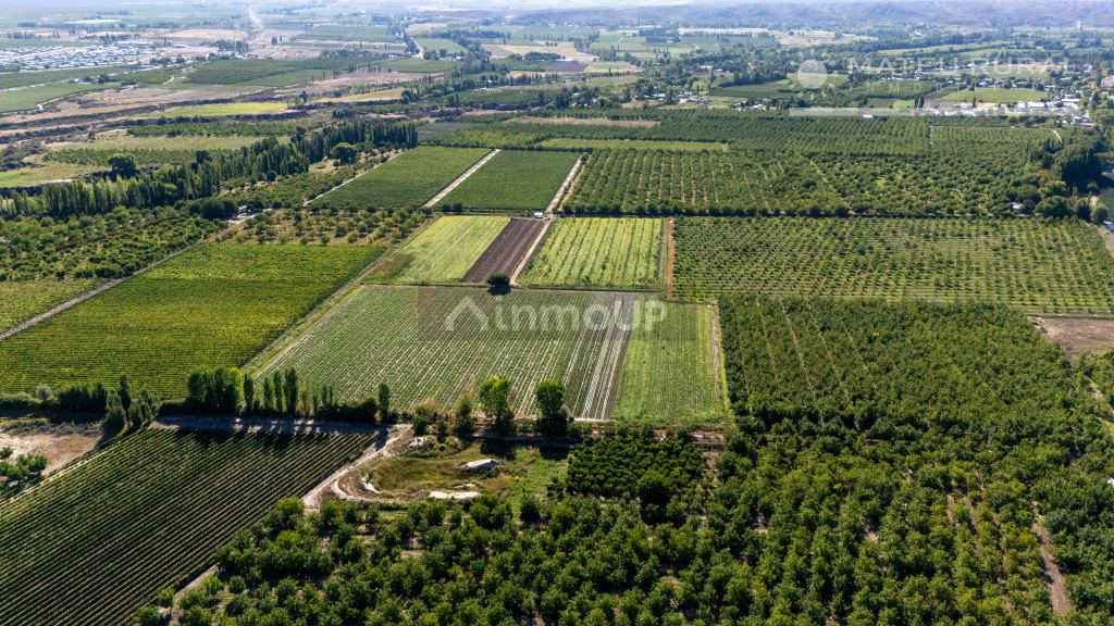 Finca en Venta en Tupungato, Mendoza