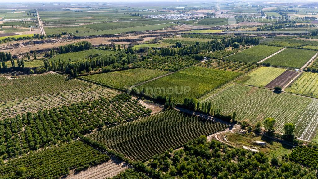 Finca en Venta en Tupungato, Mendoza