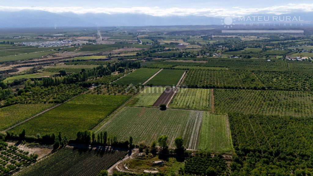 Finca en Venta en Tupungato, Mendoza