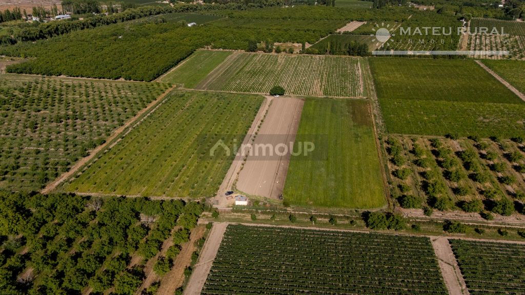 Finca en Venta en Tupungato, Mendoza