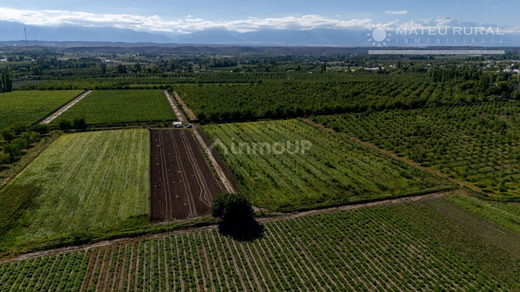 Finca en Venta en Tupungato, Mendoza
