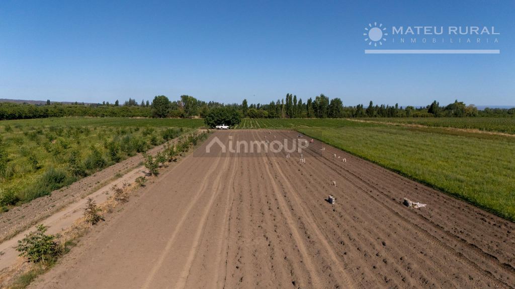 Finca en Venta en Tupungato, Mendoza