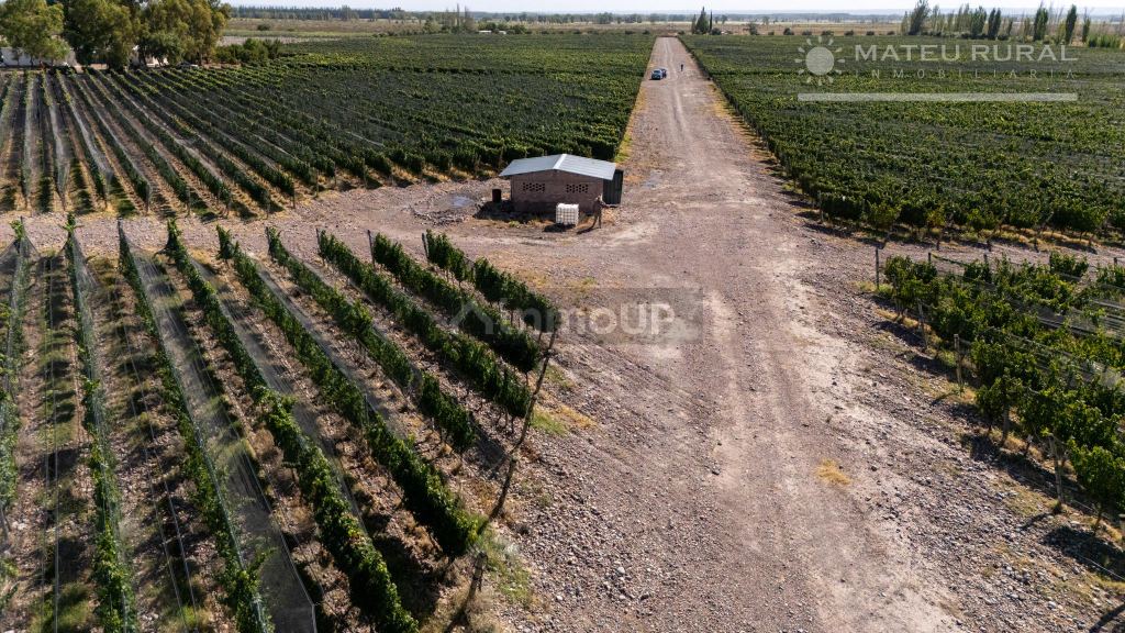 Finca en Venta en Tunuyan, Mendoza