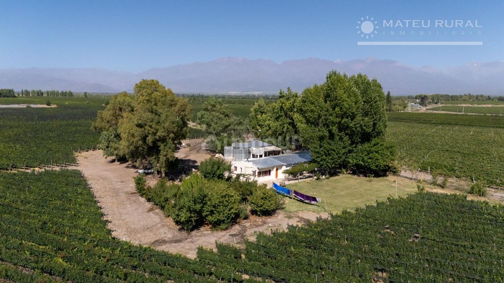 Finca en Venta en Tunuyan, Mendoza