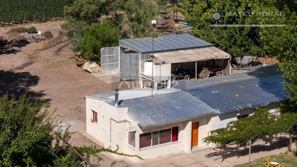 Finca en Venta en Tunuyan, Mendoza