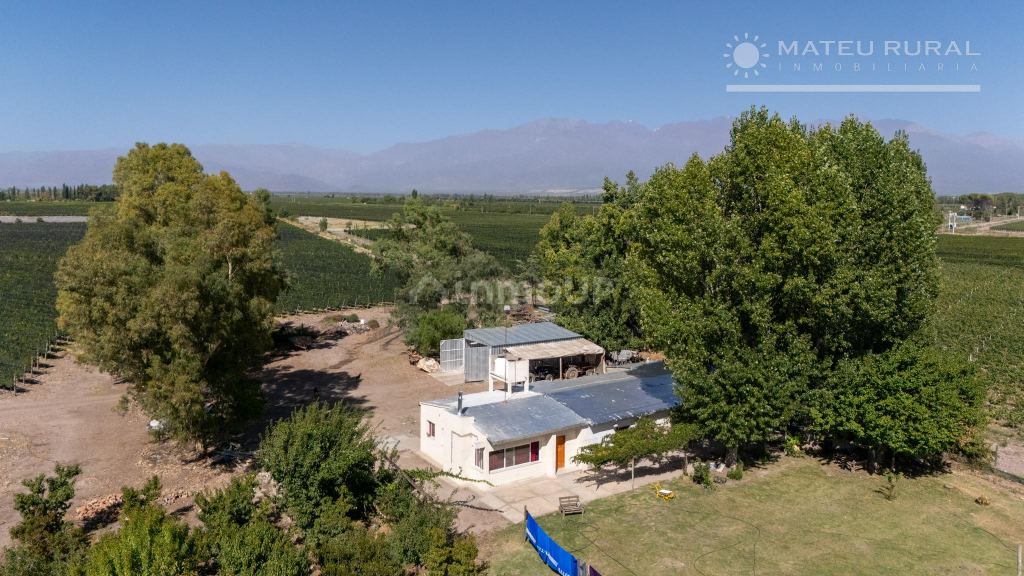 Finca en Venta en Tunuyan, Mendoza
