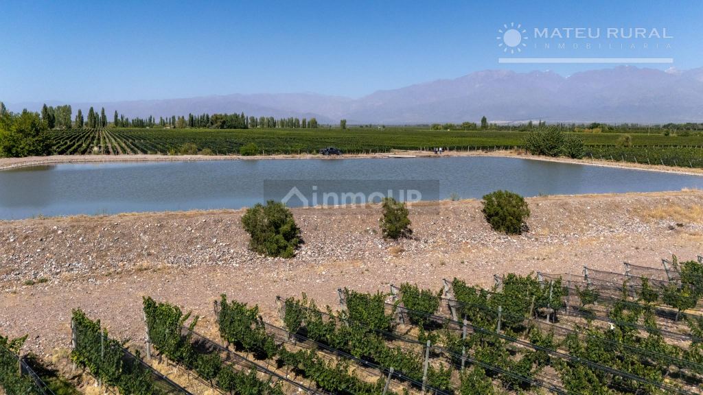 Finca en Venta en Tunuyan, Mendoza