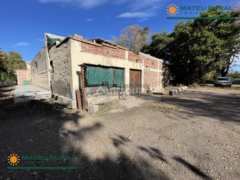 Bodega en Venta en San Martin, Mendoza