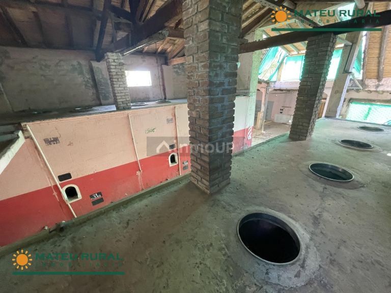 Bodega en Venta en San Martin, Mendoza