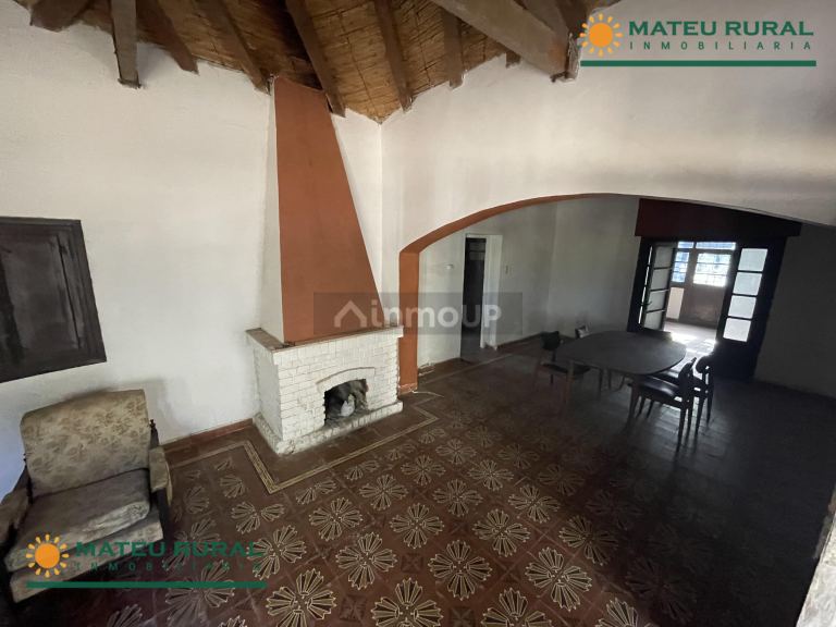 Bodega en Venta en San Martin, Mendoza