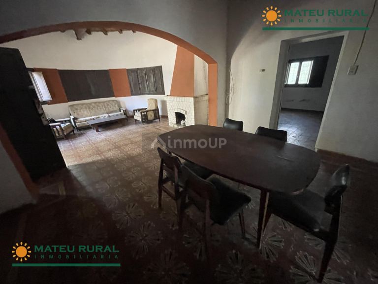 Bodega en Venta en San Martin, Mendoza