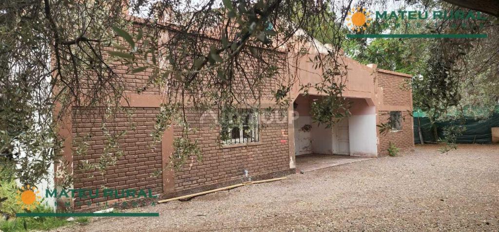 Bodega en Venta en San Martin, Mendoza