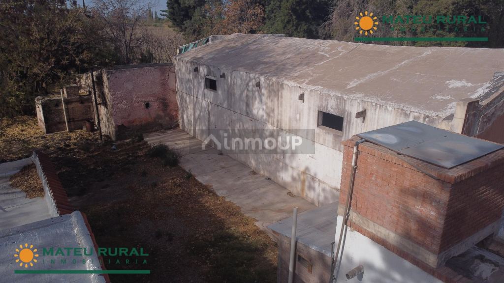 Bodega en Venta en San Martin, Mendoza