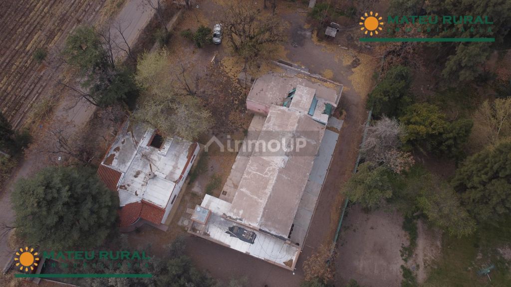 Bodega en Venta en San Martin, Mendoza