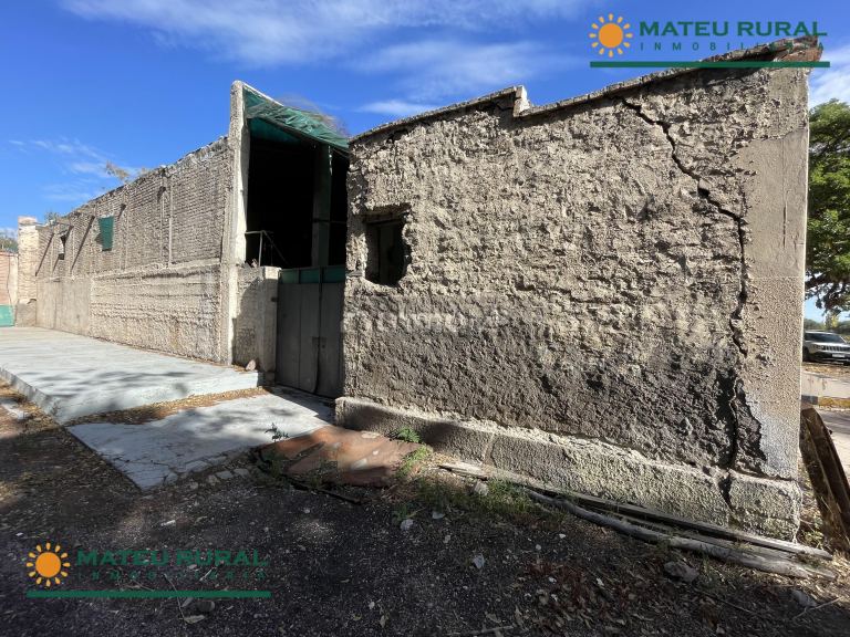 Bodega en Venta en San Martin, Mendoza