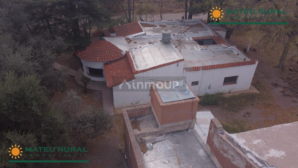 Bodega en Venta en San Martin, Mendoza