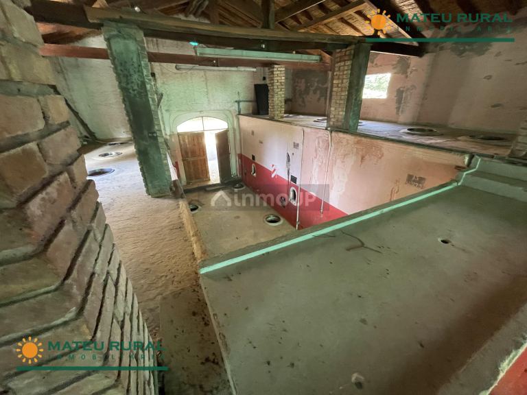 Bodega en Venta en San Martin, Mendoza