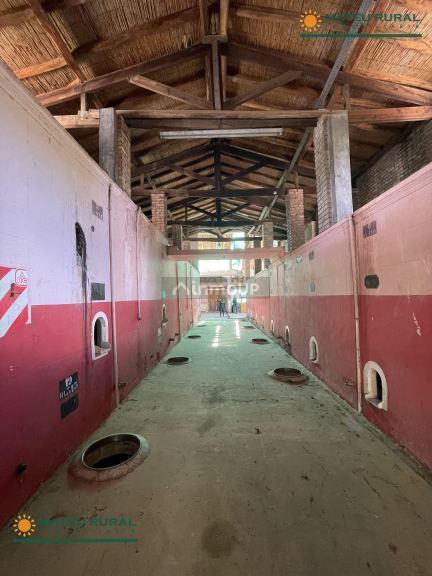 Bodega en Venta en San Martin, Mendoza