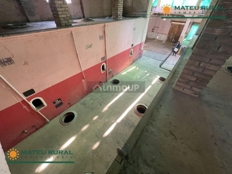 Bodega en Venta en San Martin, Mendoza
