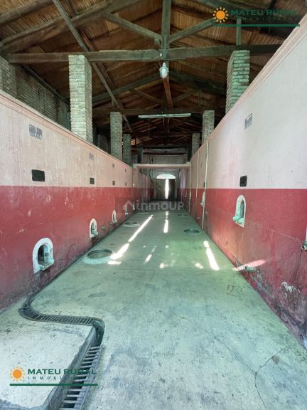 Bodega en Venta en San Martin, Mendoza
