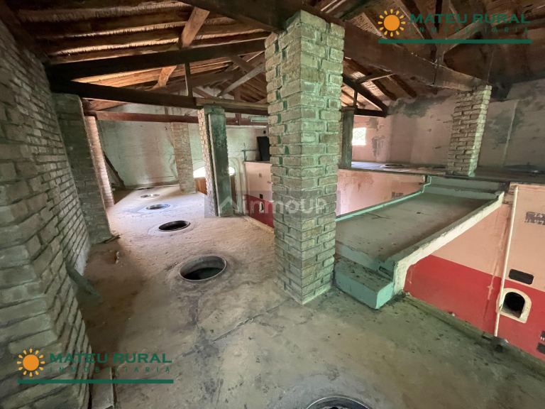 Bodega en Venta en San Martin, Mendoza